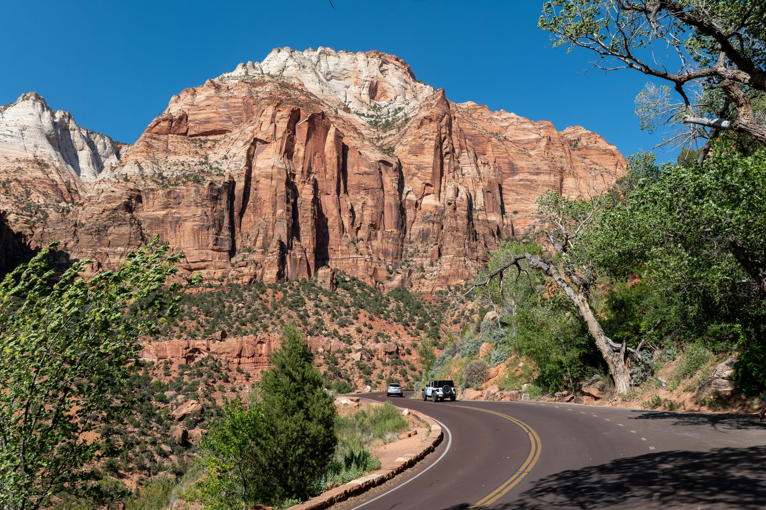 Captivating view of Zion National Park's towering red cliffs along a winding road under a clear blue sky.